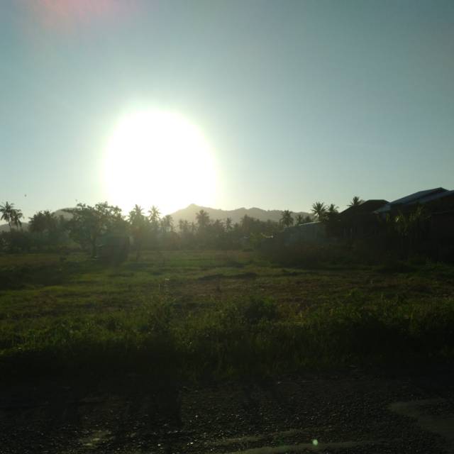 rinatrisnaputritothenotangdo