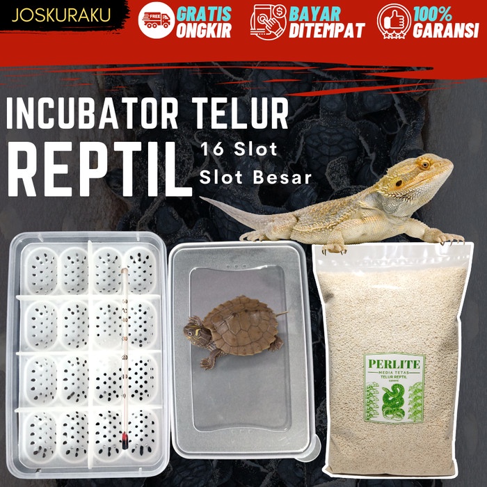 [[BISA COD]] ORIGINAL Inkubator Reptil Telur Incubator Egg Gecko Ular Kura Kadal Reptile Egg - Incub