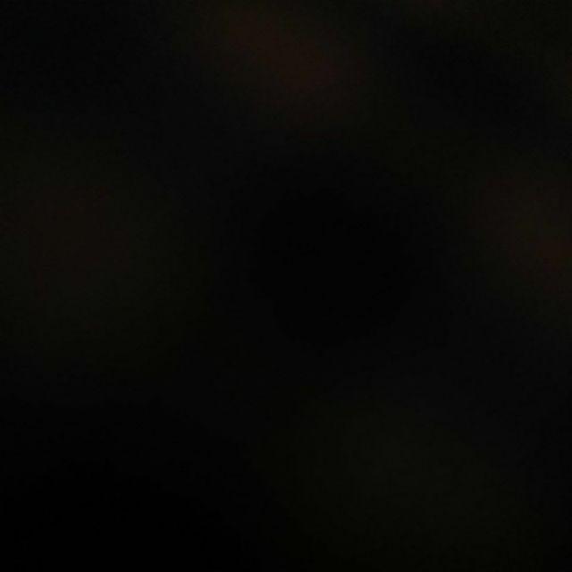 Capitan Penjepit Pengupas Mata Nanas Dapur Stainless Steel Seed Remover Cutting Clip Westone