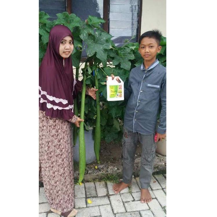 Stok Terbatas PUPUK FENG SHOU TIENS | FENG SHOU PUPUK HAYATI | PENYUBUR TANAMAN