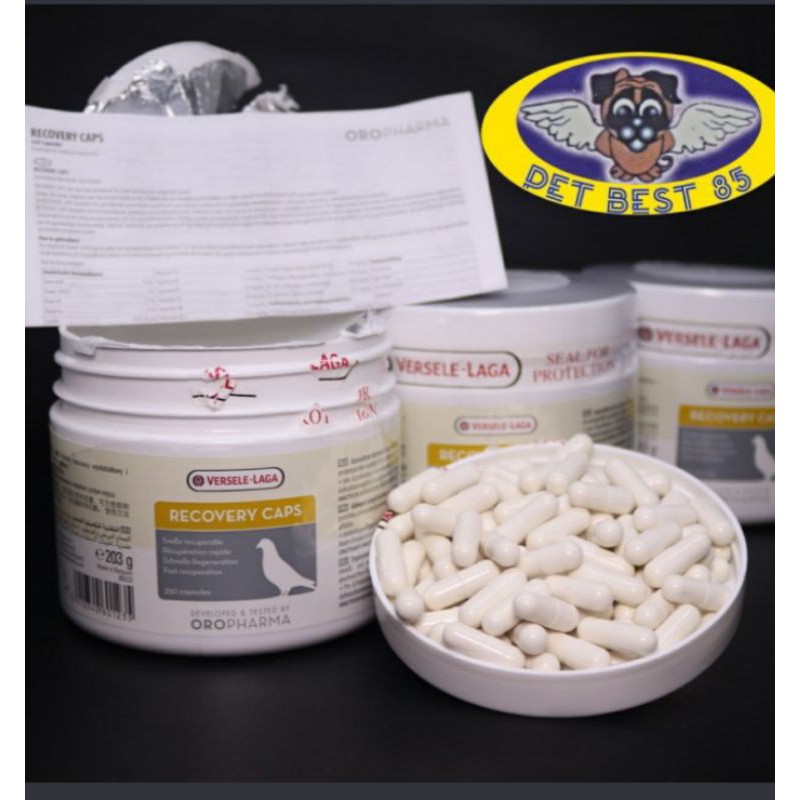 Recovery Caps (10 capsule) Recovery sakit / Kelelahan Penerbangan merpati