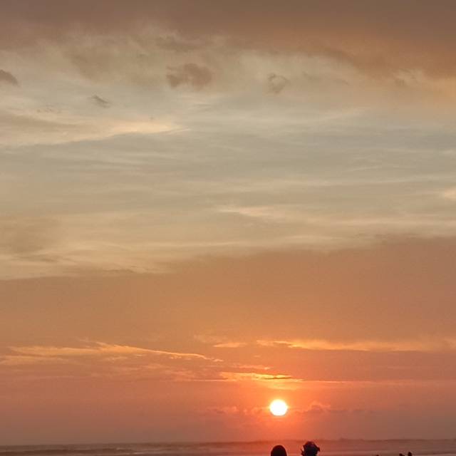 rhevymeidiasaryefendy