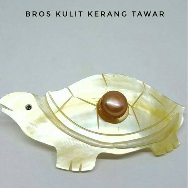 Bros Kulit Kerang Mutiara Air Tawar Lombok