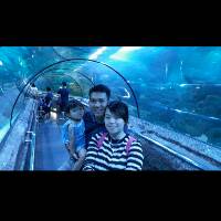 stevychristianti