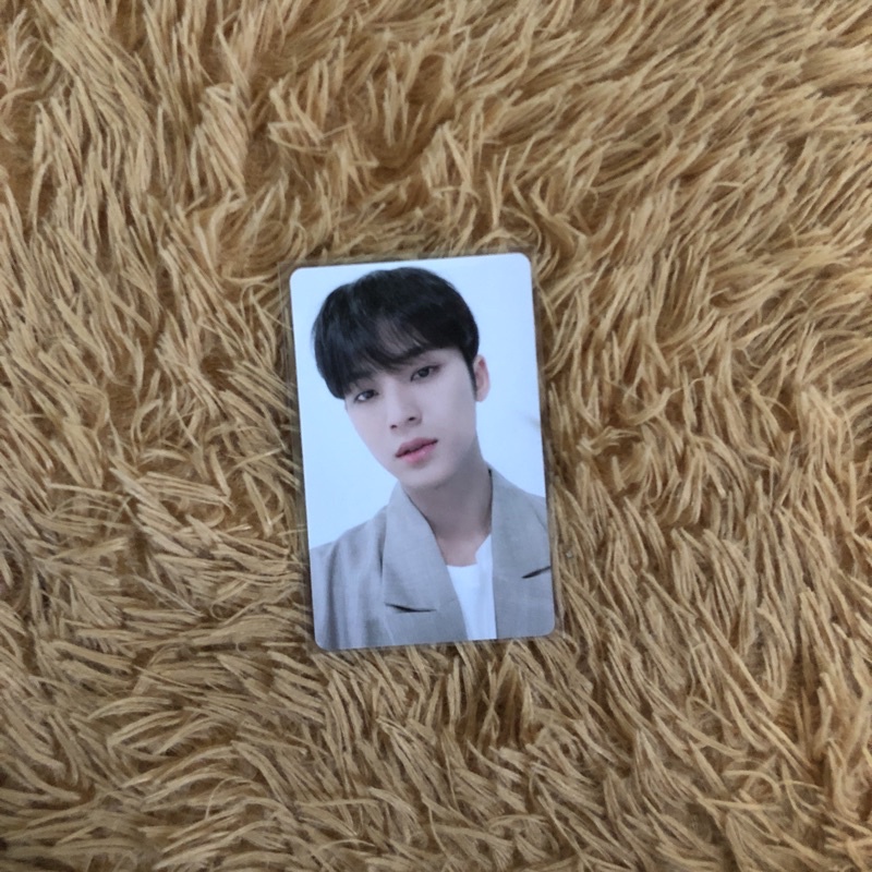 PC SG 2022 Mingyu Seventeen Season’s Greeting Photocard SVT