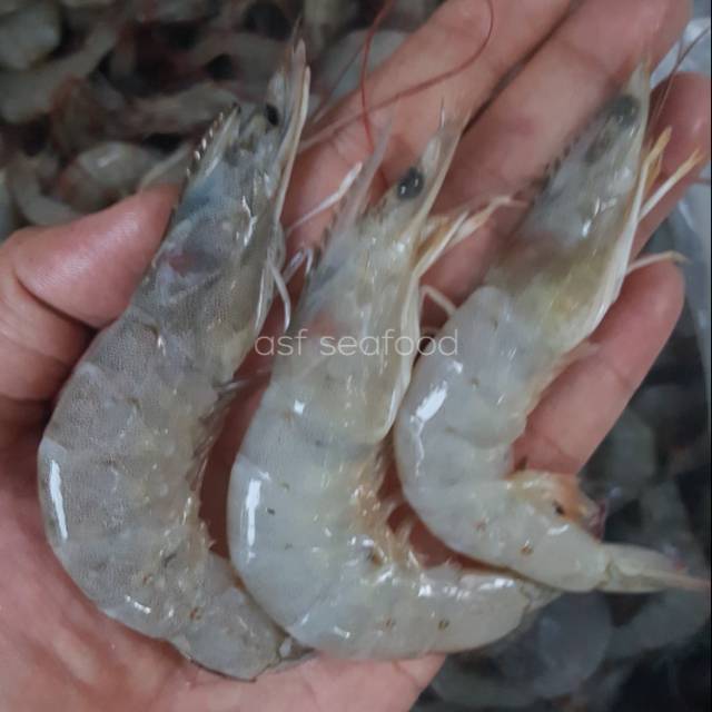 

Udang Vaname aka 60-70