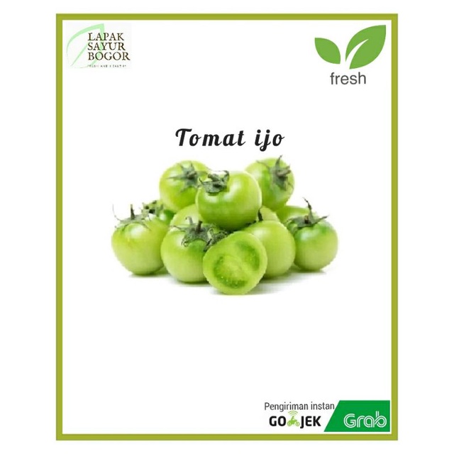 

tomat ijo segar 250gram rempah rempah bogor