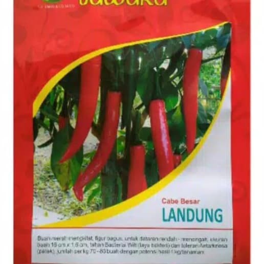 Benih Cabe Merah Besar Unggul LANDUNG 10gr - Bibit Cabe