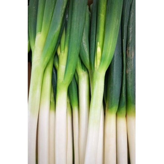 

Daun bawang 250 gram