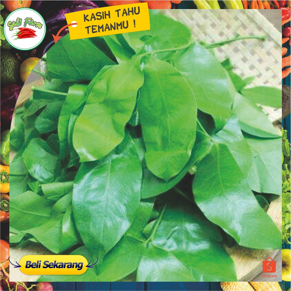 Jual Daun Melinjo Segar Murahdaun Tangkil 500 Gr Shopee Indonesia