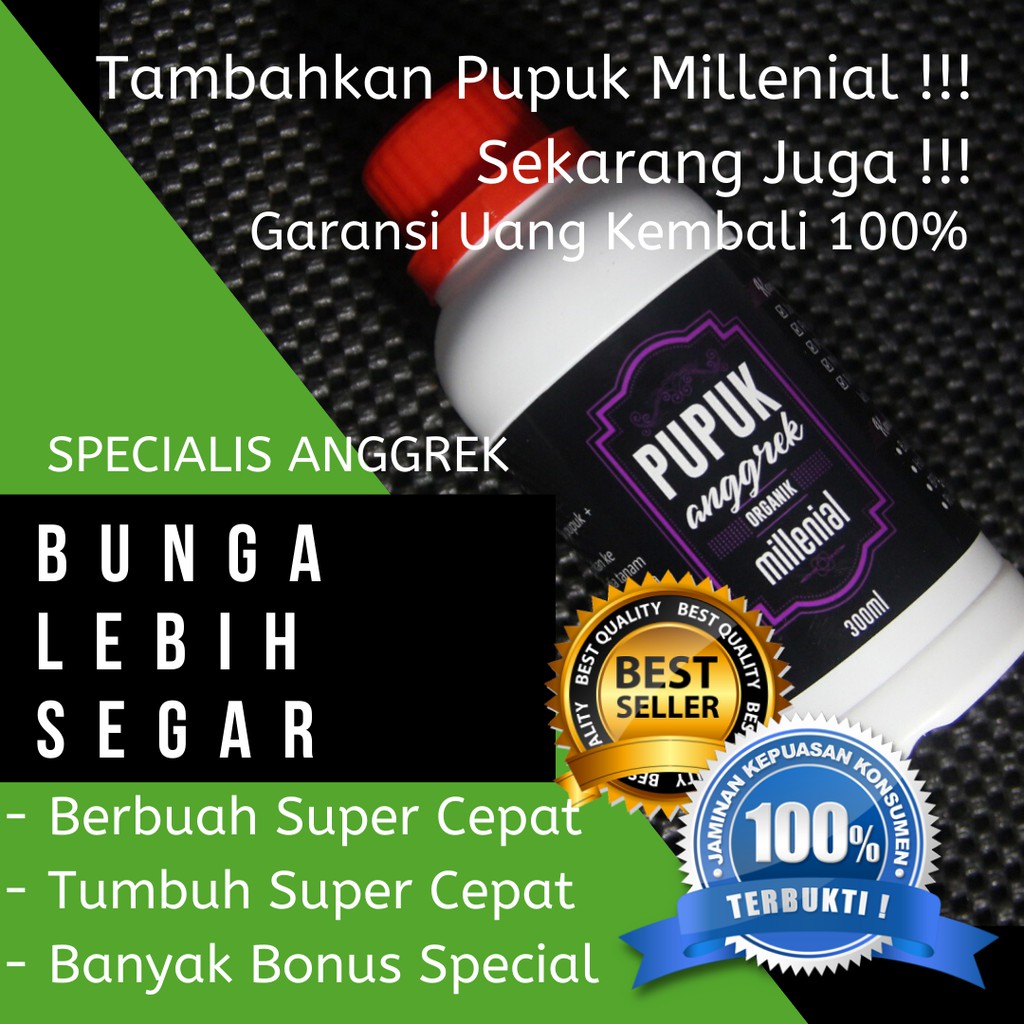 Pupuk Anggrek Dendrobium Pupuk Anggrek Bagus Pupuk Anggrek Organik Pupuk Anggrek Growmore