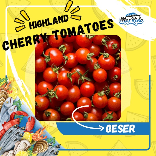 

Tomat Cherry Red Sayur Red Tomato Hidroponik Segar Fresh Highland