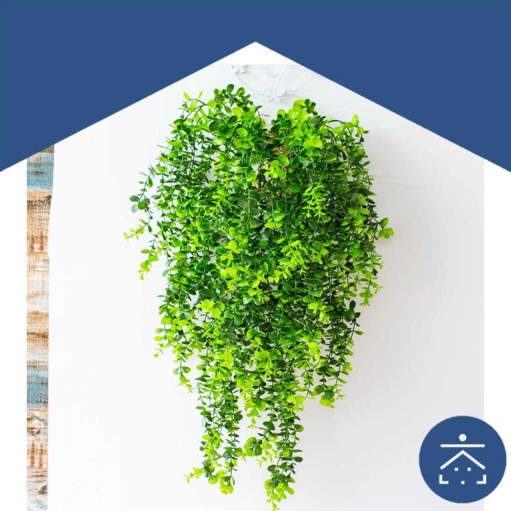Daun Rambat Plastik Dekorasi Dinding Tanaman Hias Indoor Daun Rambat Plastik Dekorasi Dinding Tanaman Hias Indoor