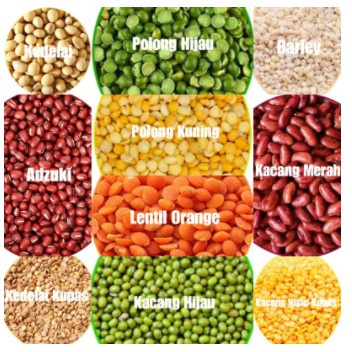 Kacang MPASI Organik 100gr Kacang Merah /Kacang Hijau/ Kacang kedelai Organik (50grm /100 gram)