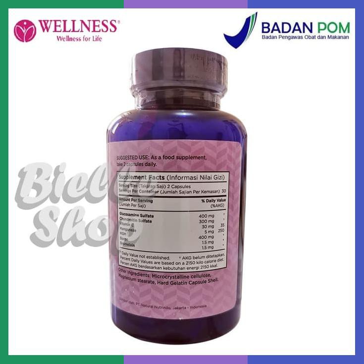 Wellness Joint Plus 60 Caps