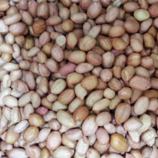 

Kacang Tanah Kulit 1kg - 500gr