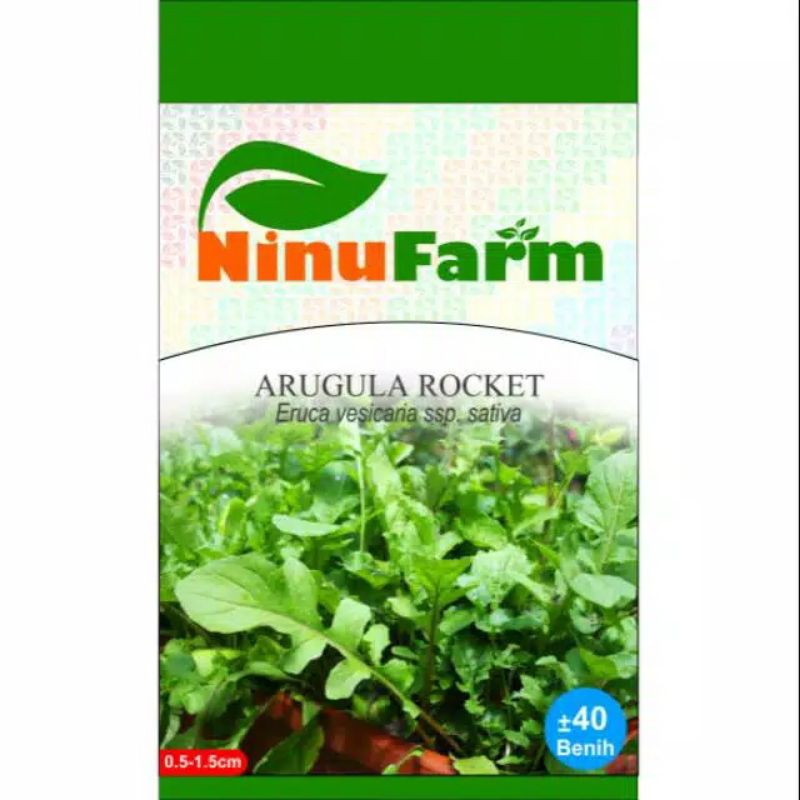 Benih ARUGULA ROCKET / Bibit Sayuran Hidroponik Bandung