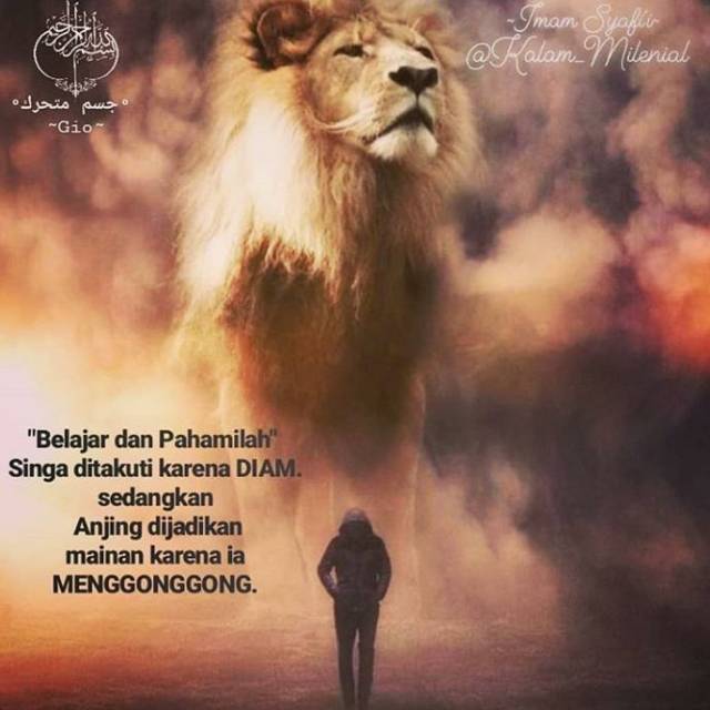 Sangobion Vita Tonik Shopee Indonesia