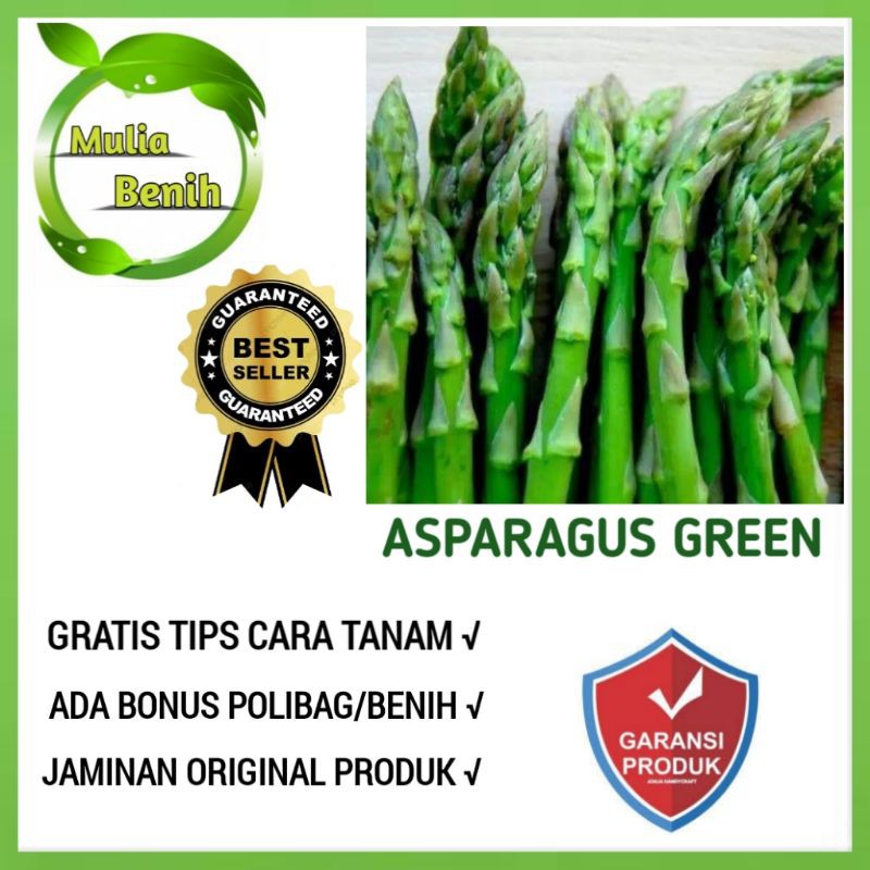 4 Biji - Benih ASPARAGUS GREEN - Bibit Tanaman Sayur Sayuran Asparagus Benih unggul