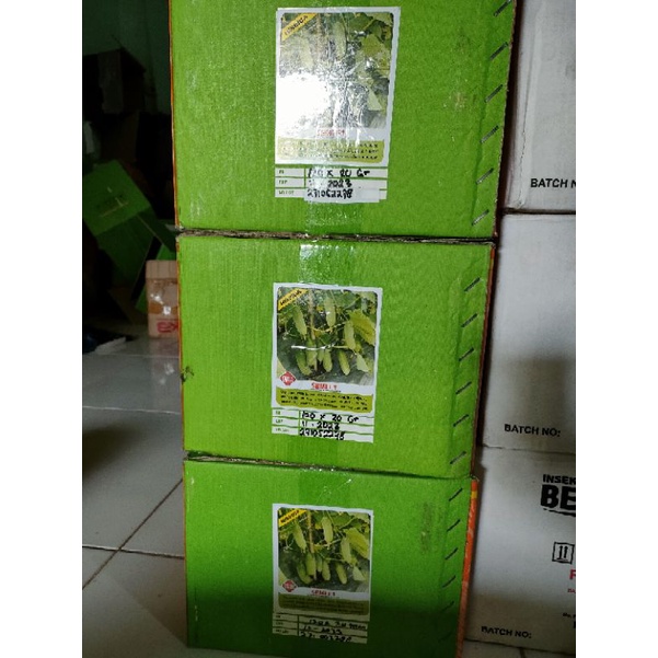 Paket Hemat 1 Dus Timun Semi F1 20gr x 120 pc Cap Bintang Asia Original Pabrik