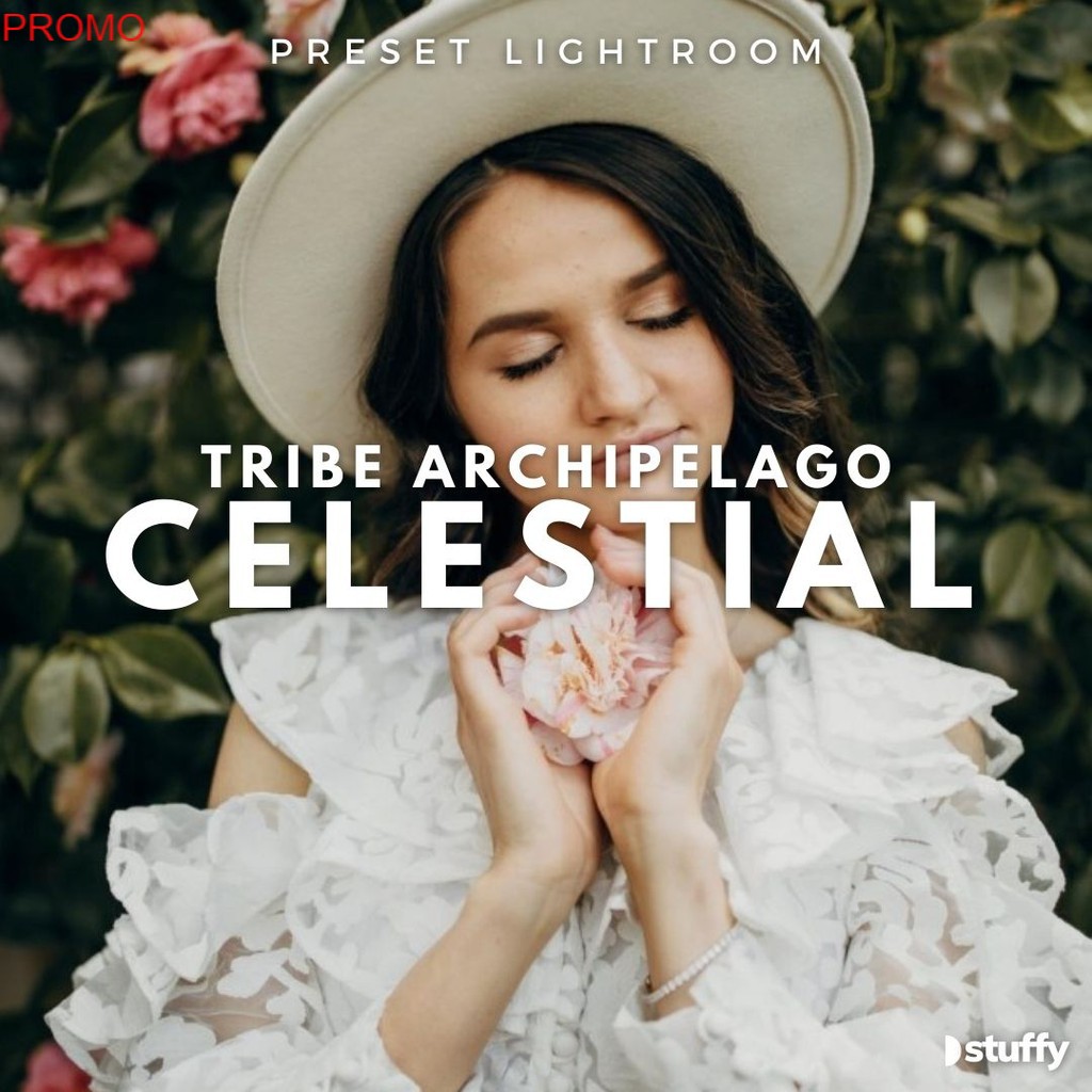 10000+ BONUS Preset Lightroom Premium Wedding - Tribe Archipelago Celestial Untuk Android IOS PC
