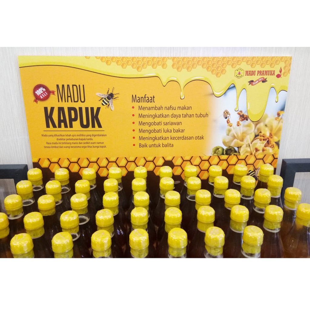 

Madu Kapuk Pramuka