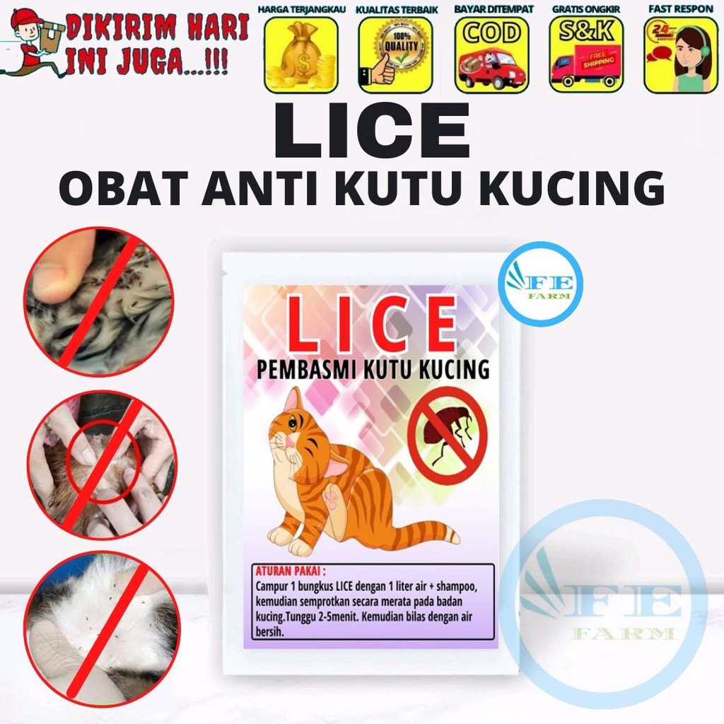 Obat Anti Kutu Kucing Pembasmi Kutu Kitten Cat LICE FEFARM
