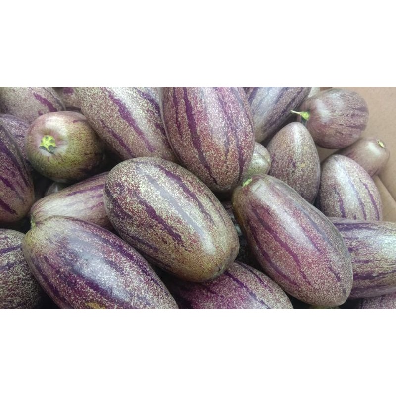 

Pepino/put fresh 1 kg