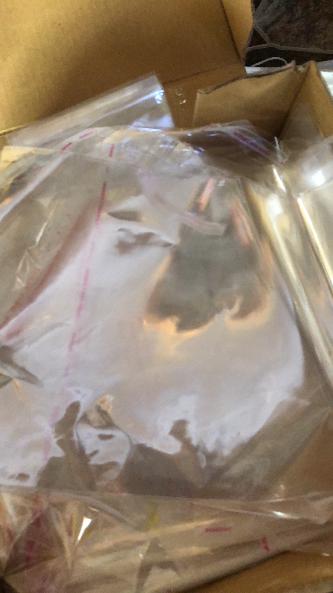 Plastik Opp Seal Panjang 24cm / Plastik Undangan Isi 100pcs