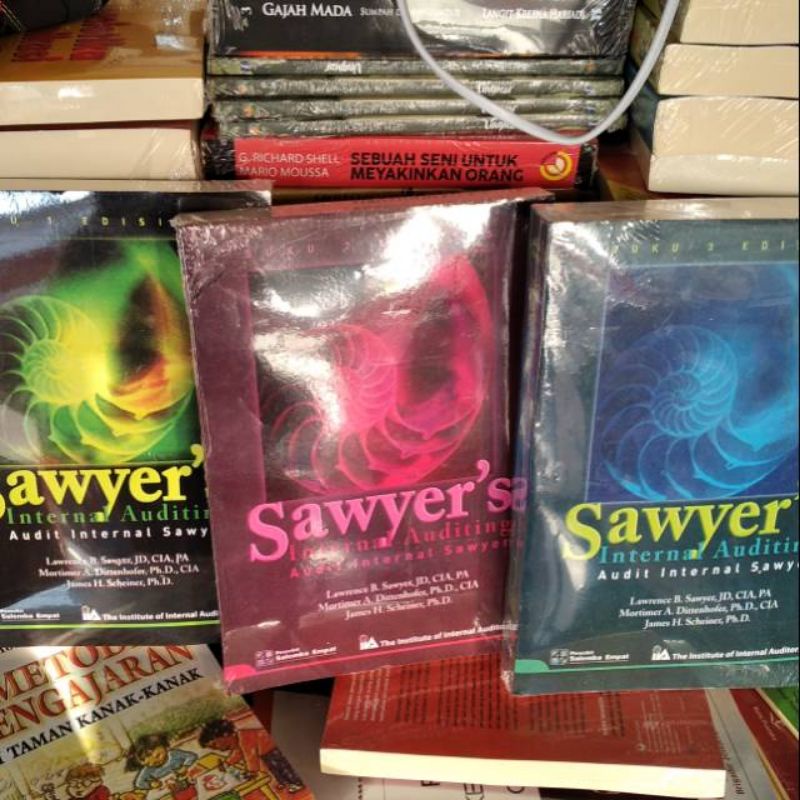 

sawyer's sawyers internal auditing audit internal 1 2 dan 3