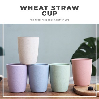 MurmerOfficial R653 Gelas Wheat Straw Kopi Mug Cangkir | Food Grade | Gelas Gandum Kokoh | BPA Free