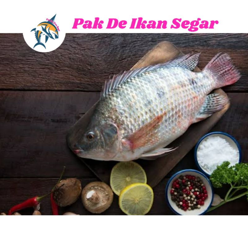 

Ikan Mujaer Segar. 1-5 ekor per kg