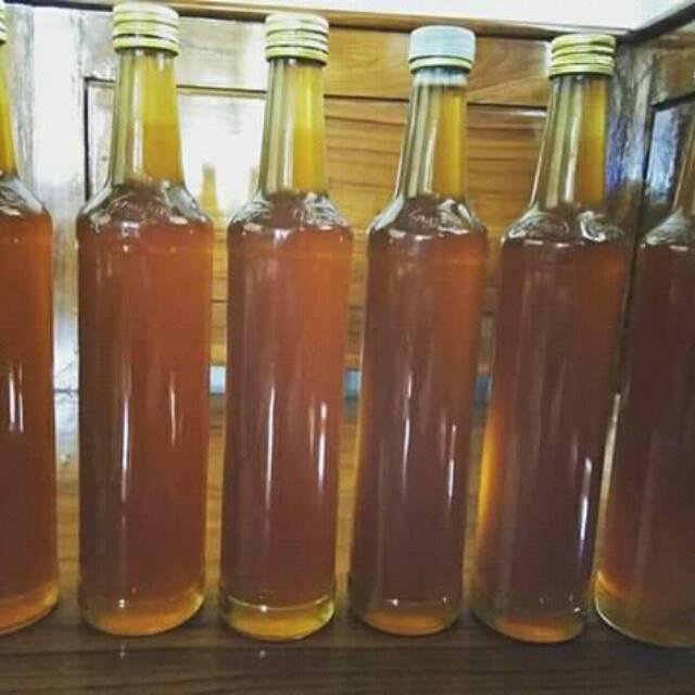 

Madu asli lebah hutan liar