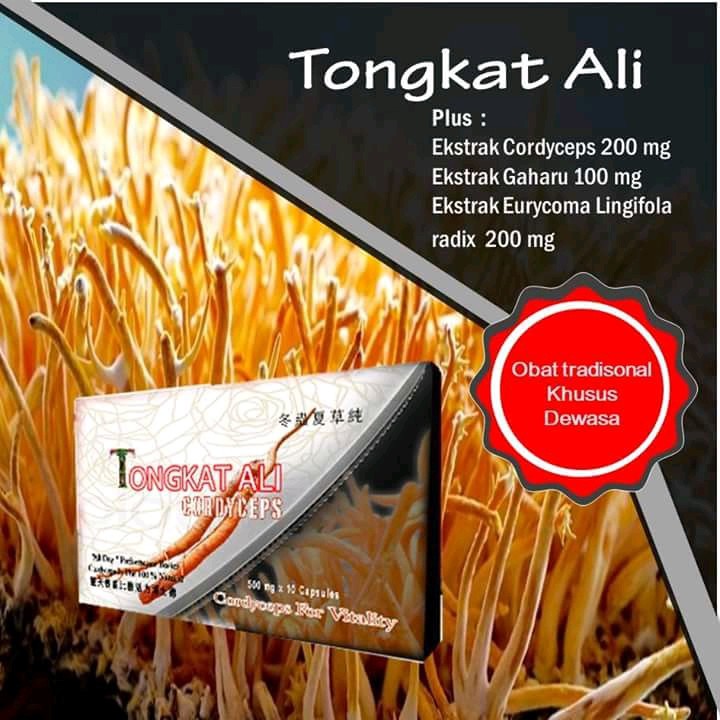 tongkat ali