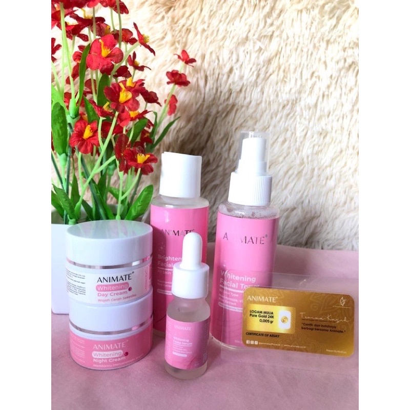 Animate Instant Whitening Series 5 in 1 Skincare Pemutih Wajah Sabun Face wash toner serum day cream