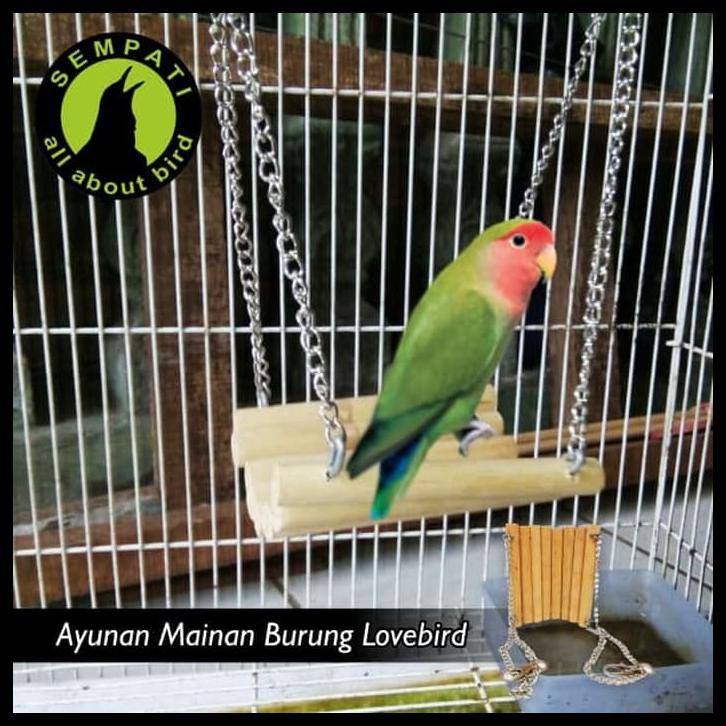 Termurah Ayunan Rantai Mainan Burung Lovebird Qr0779 Shopee