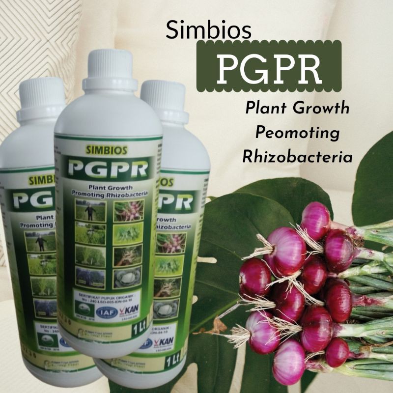 fungisida untuk jamur akar putih, SIMBIOS-PGPR (PLANT GROWTH PROMOTING RHIZOBACTERIA)