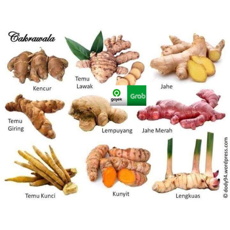 

rempah2 empon2 jahe merah/jahe/kunyit/temulawak/temu hitam/temu mangga/lengkuas/kencur/kunci