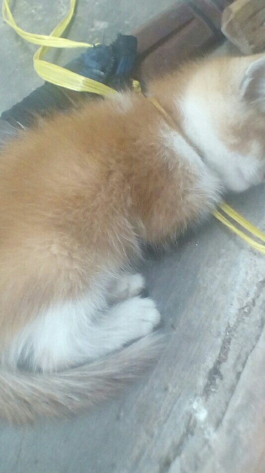 Isi Botol 60 Ml Vinc1 X Harga 1 Biji