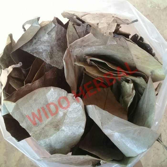 

teh-daun- termurah teh daun sirsak anti kanker 50 gr -daun-teh.
