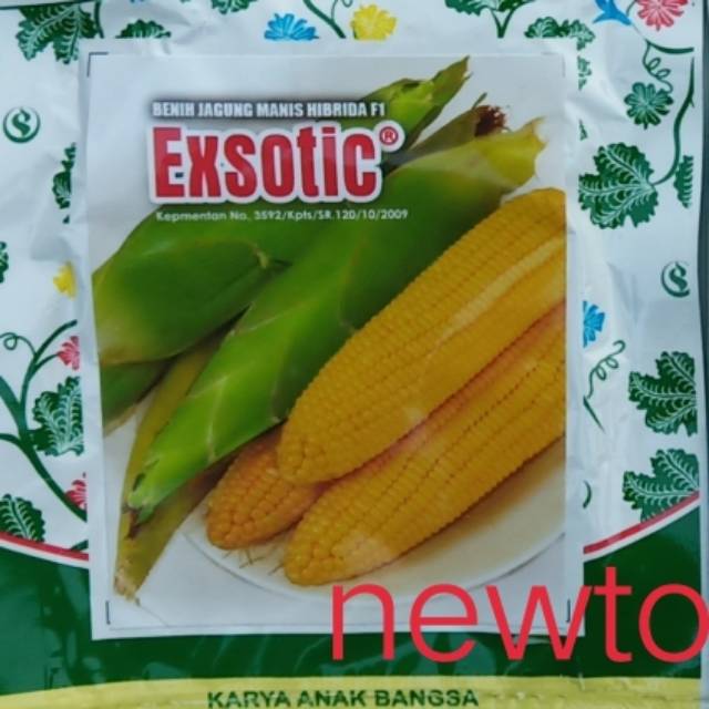 Benih jagung manis hibrida EXOTIC F1 80 butir smallpack kemasan kecil