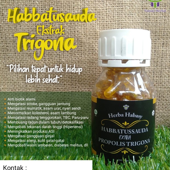 Habbatussauda Extra Propolis Trigona 100 Kapsul Indonesia