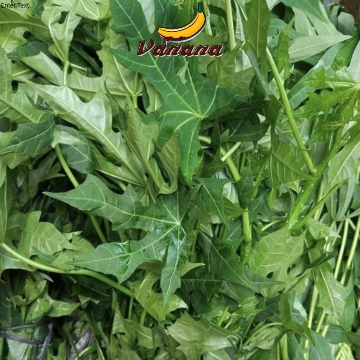 

sayur segar daun pepaya per ikat