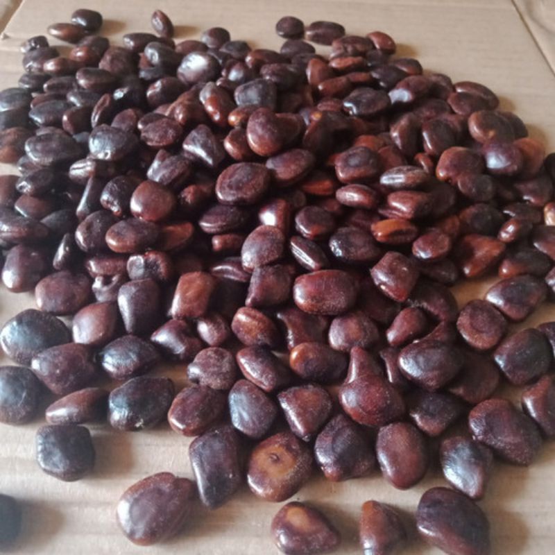 

BIJI ASAM JAWA 350 biji