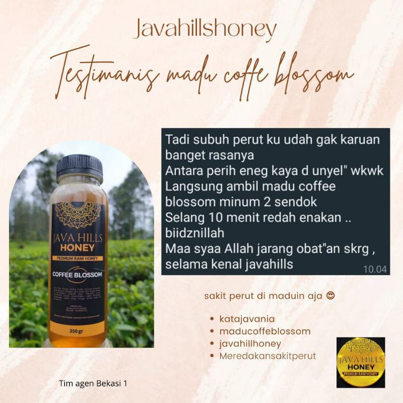 

COFFE BLOSSOM MADU JAVA HILLS HONEY MADU NAFSU MAKAN