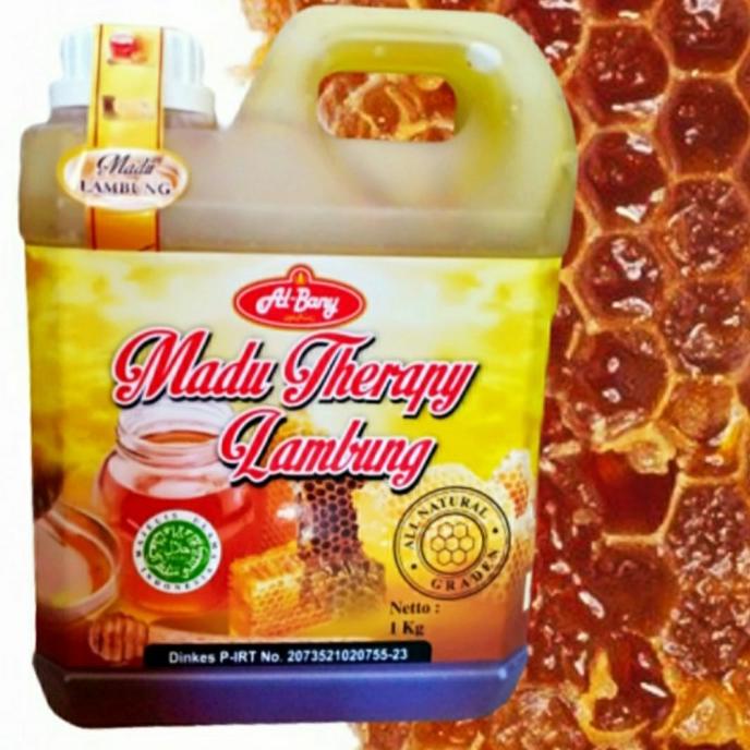 

Big Sale madu therapy lambung al bany Big Sale