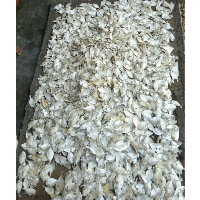 

ikan kering super
