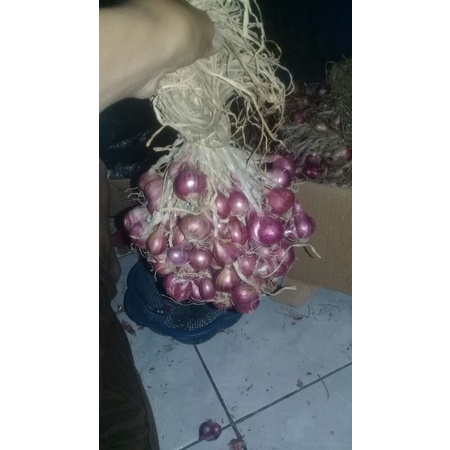 

Bawang Merah Linggo super