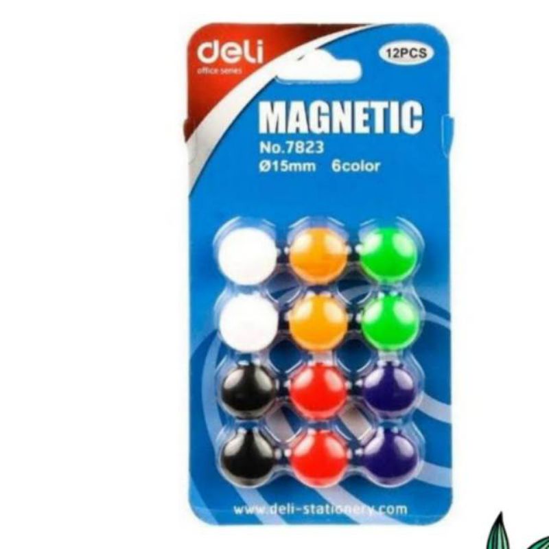 

DELI COLOUR MAGNET 7823 ISI 12 PCS