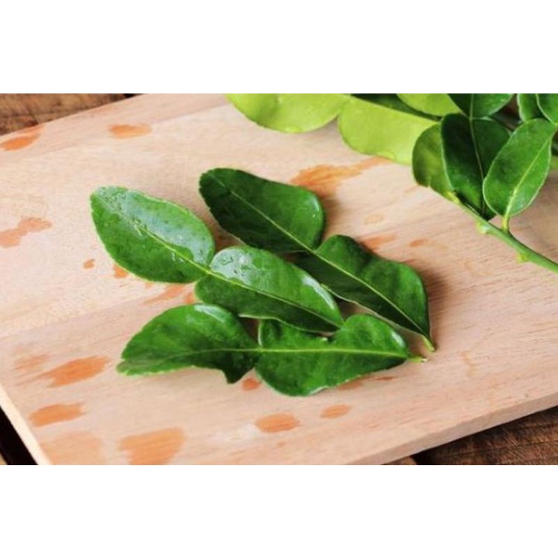 

[ArihErsada] Daun Jeruk Fresh Per Pack | 50 Gram - 100 Gram